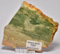 DRAGONS BLOOD JASPER POLISHED SLICE S737