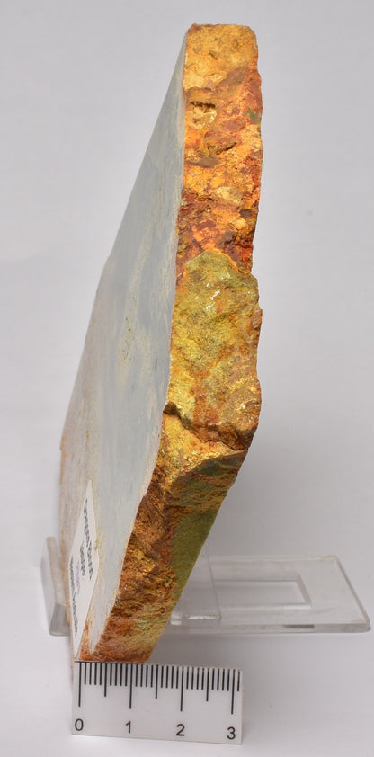 DRAGONS BLOOD JASPER POLISHED SLICE S737