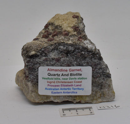 ALMANDINE GARNET, QUARTZ AND BIOTITE, AUSTRALIAN ANTARTIC TERRITORY M316