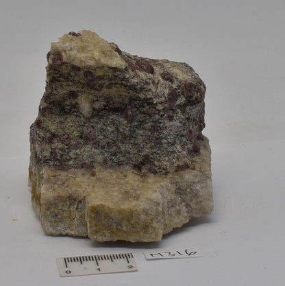 ALMANDINE GARNET, QUARTZ AND BIOTITE, AUSTRALIAN ANTARTIC TERRITORY M316