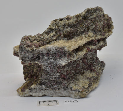 ALMANDINE GARNET, QUARTZ AND BIOTITE, AUSTRALIAN ANTARTIC TERRITORY M317