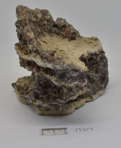 ALMANDINE GARNET, QUARTZ AND BIOTITE, AUSTRALIAN ANTARTIC TERRITORY M317