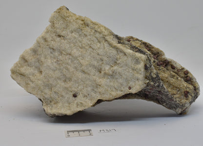 ALMANDINE GARNET, QUARTZ AND BIOTITE, AUSTRALIAN ANTARTIC TERRITORY M317