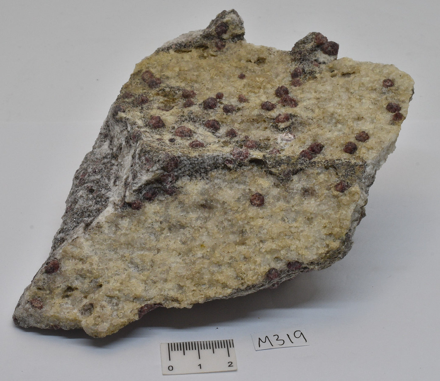 ALMANDINE GARNET, QUARTZ AND BIOTITE, AUSTRALIAN ANTARTIC TERRITORY M319