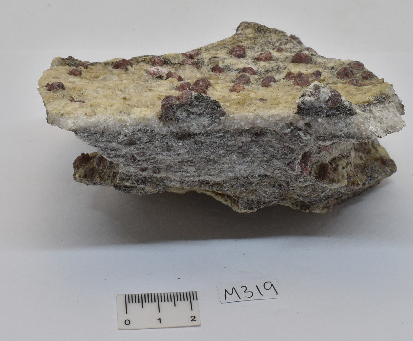 ALMANDINE GARNET, QUARTZ AND BIOTITE, AUSTRALIAN ANTARTIC TERRITORY M319