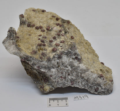 ALMANDINE GARNET, QUARTZ AND BIOTITE, AUSTRALIAN ANTARTIC TERRITORY M319