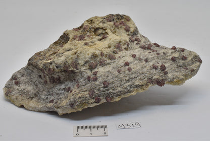 ALMANDINE GARNET, QUARTZ AND BIOTITE, AUSTRALIAN ANTARTIC TERRITORY M319