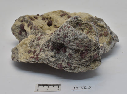 ALMANDINE GARNET, QUARTZ AND BIOTITE, AUSTRALIAN ANTARTIC TERRITORY M320