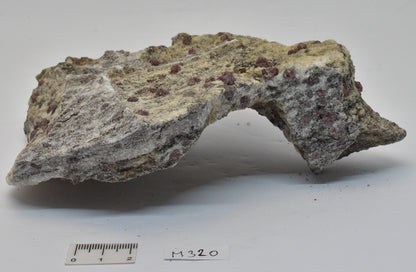 ALMANDINE GARNET, QUARTZ AND BIOTITE, AUSTRALIAN ANTARTIC TERRITORY M320