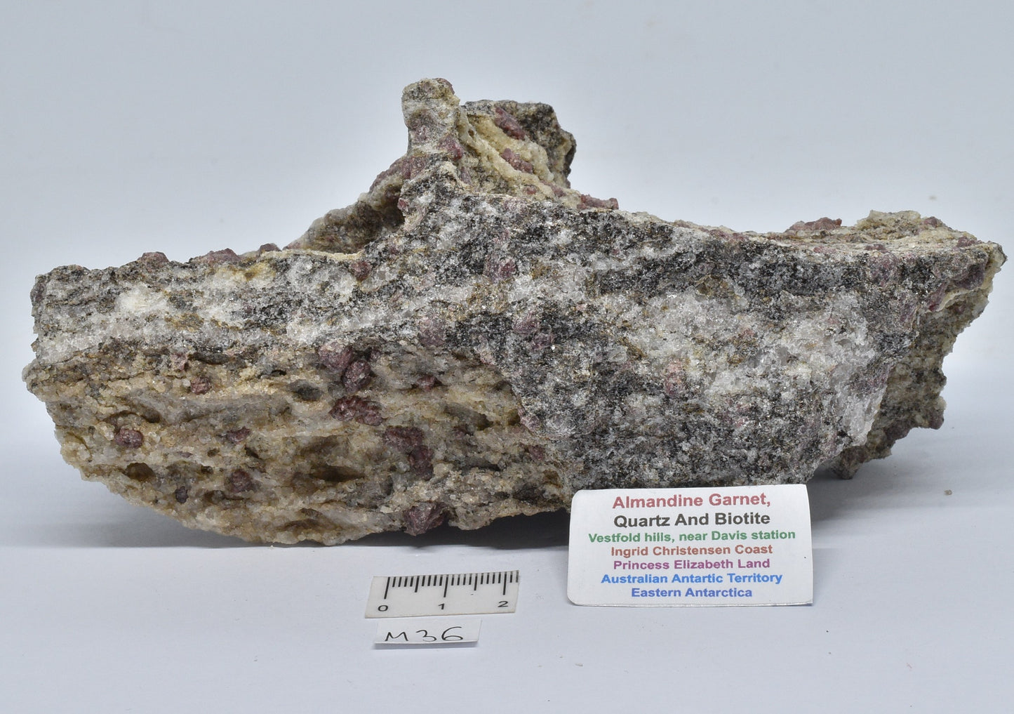 ALMANDINE GARNET, QUARTZ AND BIOTITE, AUSTRALIAN ANTARTIC TERRITORY M36