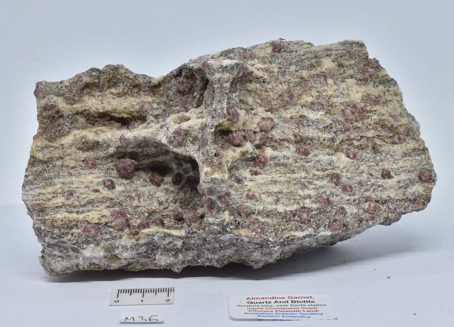 ALMANDINE GARNET, QUARTZ AND BIOTITE, AUSTRALIAN ANTARTIC TERRITORY M36