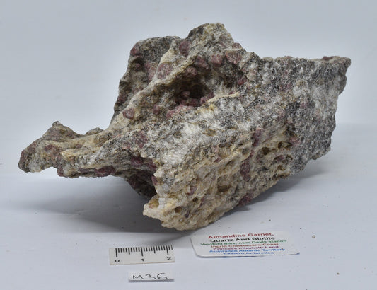 ALMANDINE GARNET, QUARTZ AND BIOTITE, AUSTRALIAN ANTARTIC TERRITORY M36