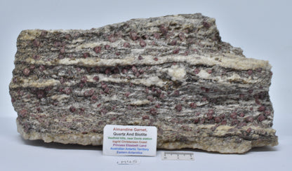 ALMANDINE GARNET, QUARTZ AND BIOTITE, AUSTRALIAN ANTARTIC TERRITORY M45