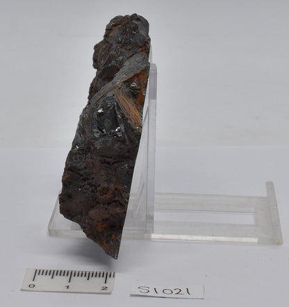 RETICULATED HEMATITE, Koolyanobbing, Western Australia S1021