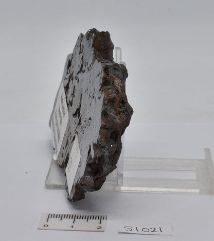 RETICULATED HEMATITE, Koolyanobbing, Western Australia S1021