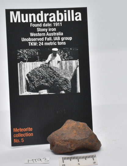 MUNDRABILLA IRON METEORITE 35 GRAMS MT93