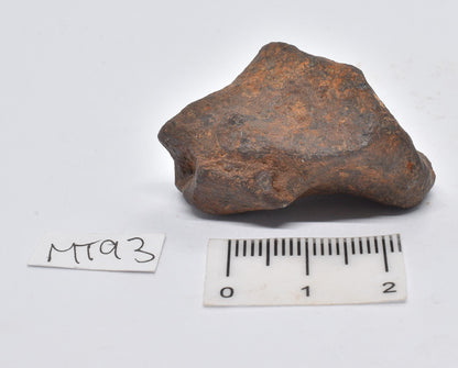 MUNDRABILLA IRON METEORITE 35 GRAMS MT93