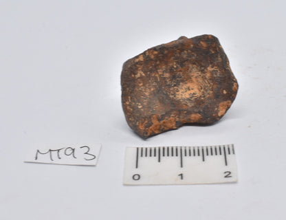 MUNDRABILLA IRON METEORITE 35 GRAMS MT93