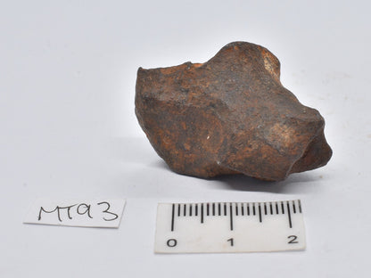 MUNDRABILLA IRON METEORITE 35 GRAMS MT93