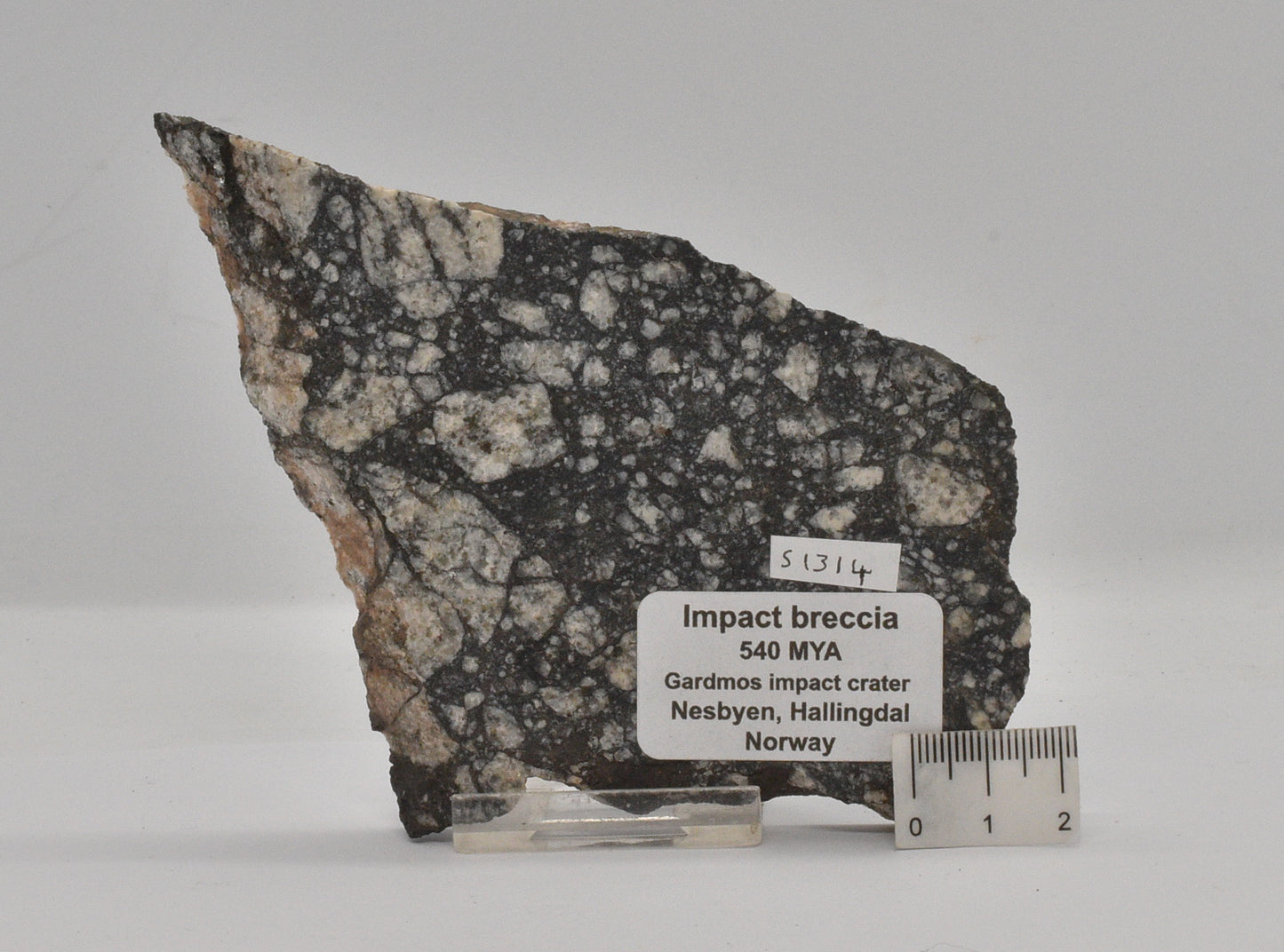 Impact Breccia (540mya)  Gardmos Impact Crater, Nesbyen, Norway S1314