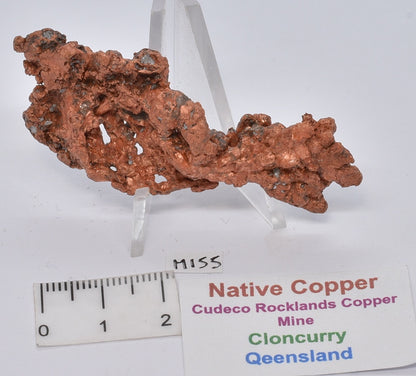 NATIVE COPPER, CLONCURRY, QUEENSLAND, AUSTRALIA M155