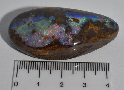 BOULDER OPAL Polished, Koroit, Queensland, Australia OP02