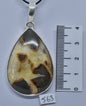 SEPTARIAN NODULE PENDANT J63