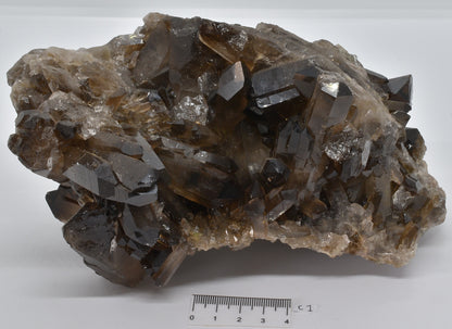 SMOKEY QUARTZ CRYSTAL POINT CLUSTER C1