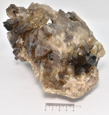 SMOKEY QUARTZ CRYSTAL POINT CLUSTER C1