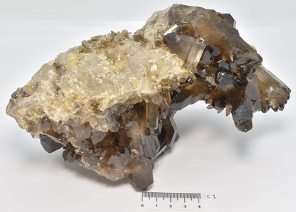 SMOKEY QUARTZ CRYSTAL POINT CLUSTER C1