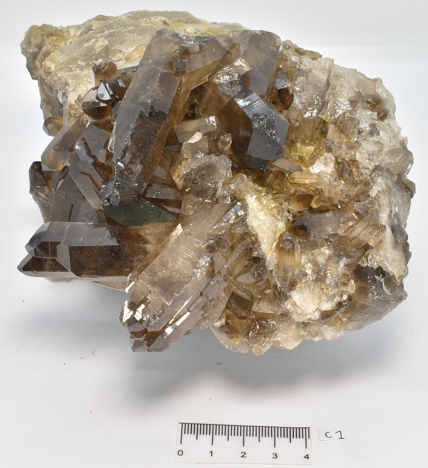 SMOKEY QUARTZ CRYSTAL POINT CLUSTER C1