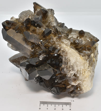 SMOKEY QUARTZ CRYSTAL POINT CLUSTER C6