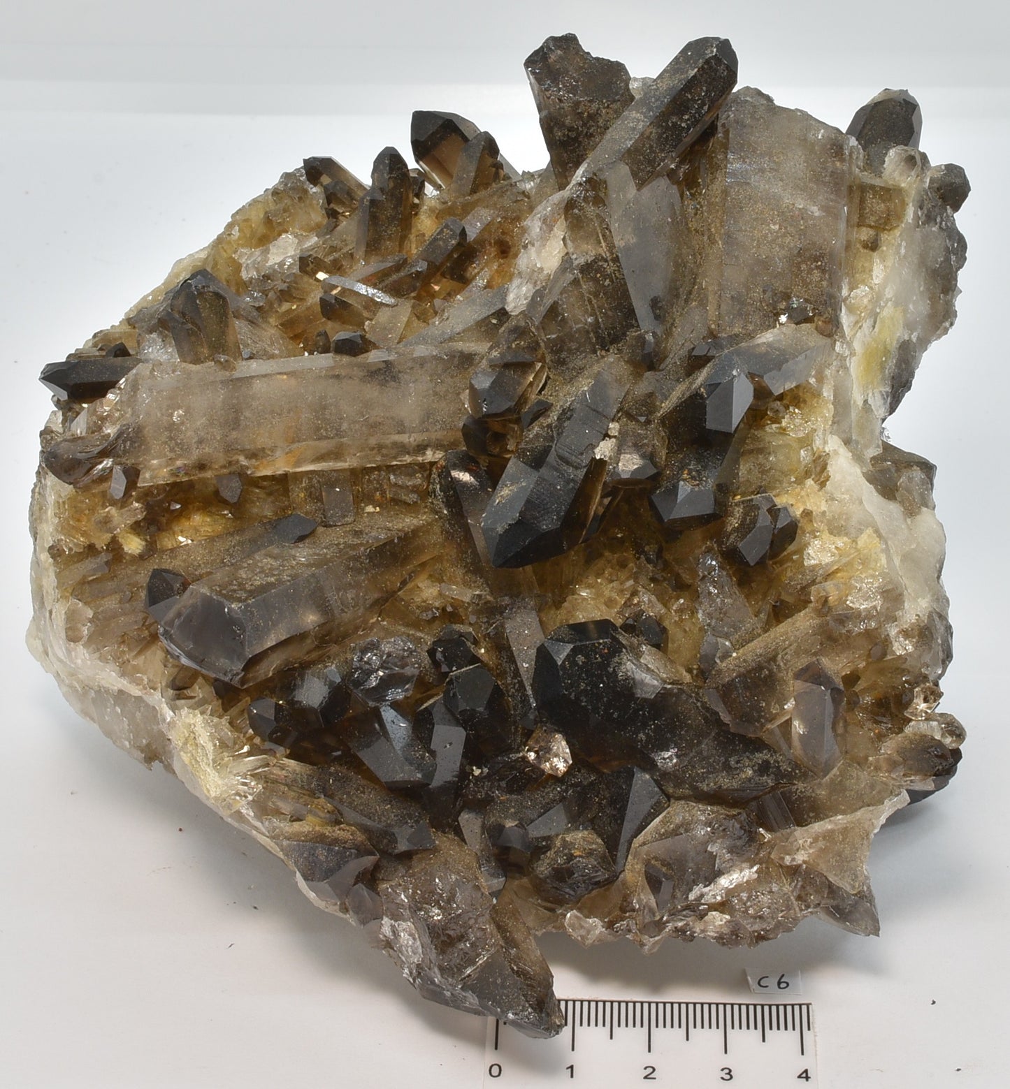 SMOKEY QUARTZ CRYSTAL POINT CLUSTER C6