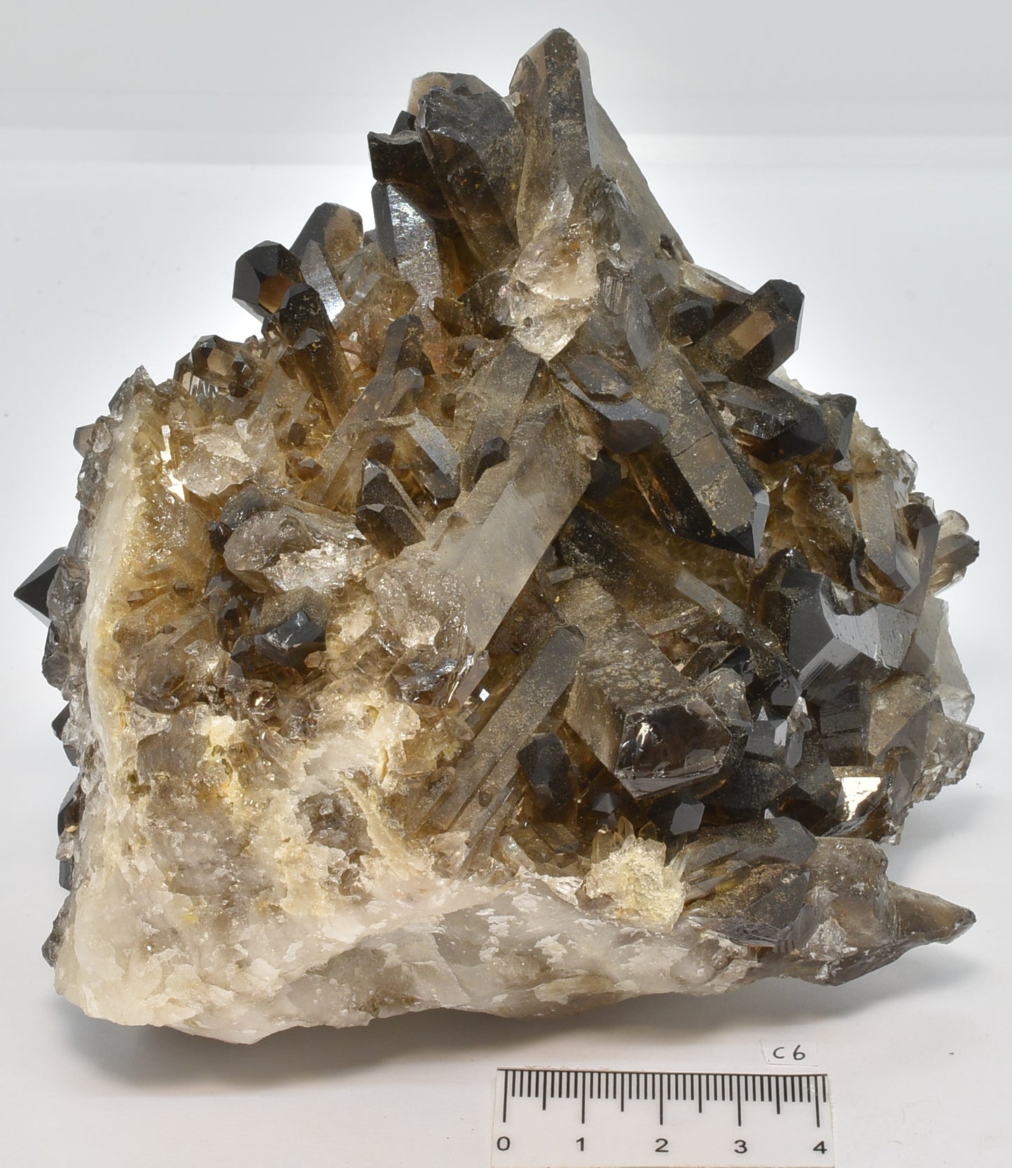 SMOKEY QUARTZ CRYSTAL POINT CLUSTER C6