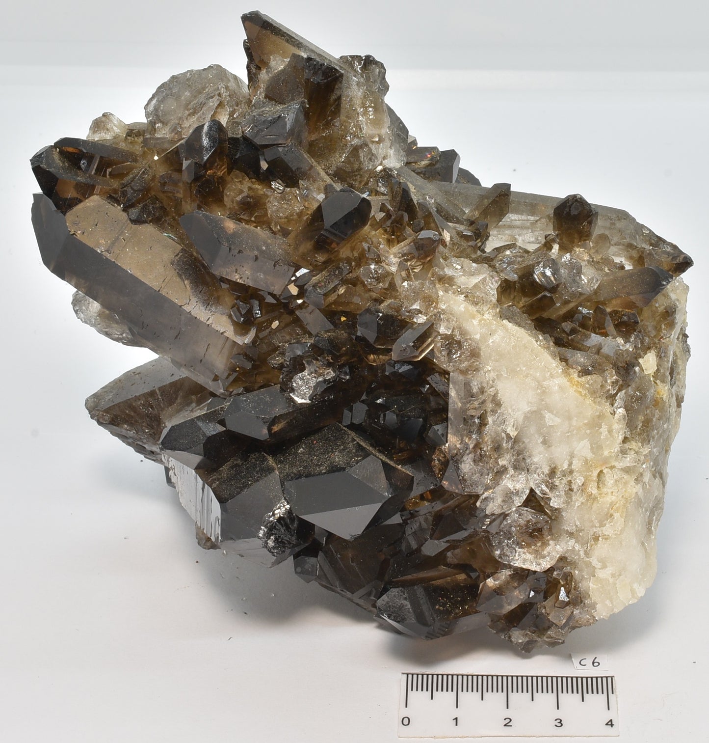 SMOKEY QUARTZ CRYSTAL POINT CLUSTER C6