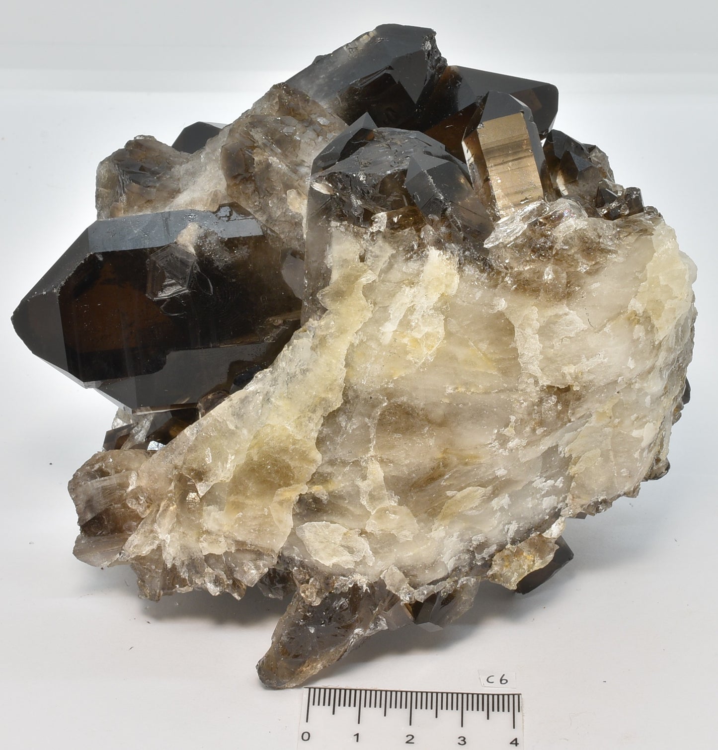 SMOKEY QUARTZ CRYSTAL POINT CLUSTER C6