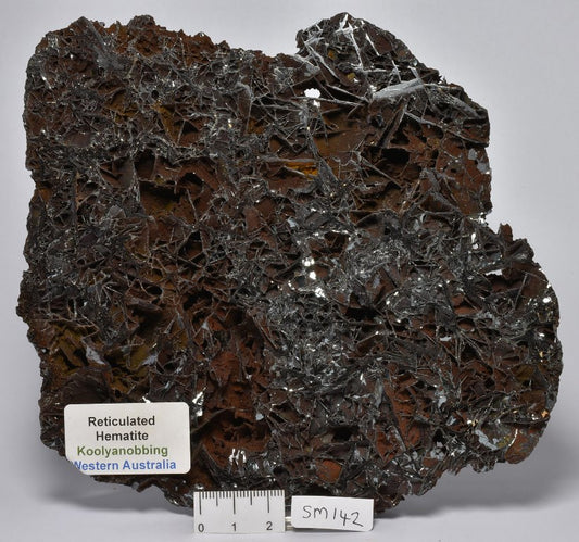 RETICULATED HEMATITE, Koolyanobbing, Western Australia (SM142)