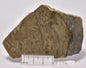 STROMATOLITE Kussiella cf. kussiensis, Paleoproterozoic, CANADA, (S234)