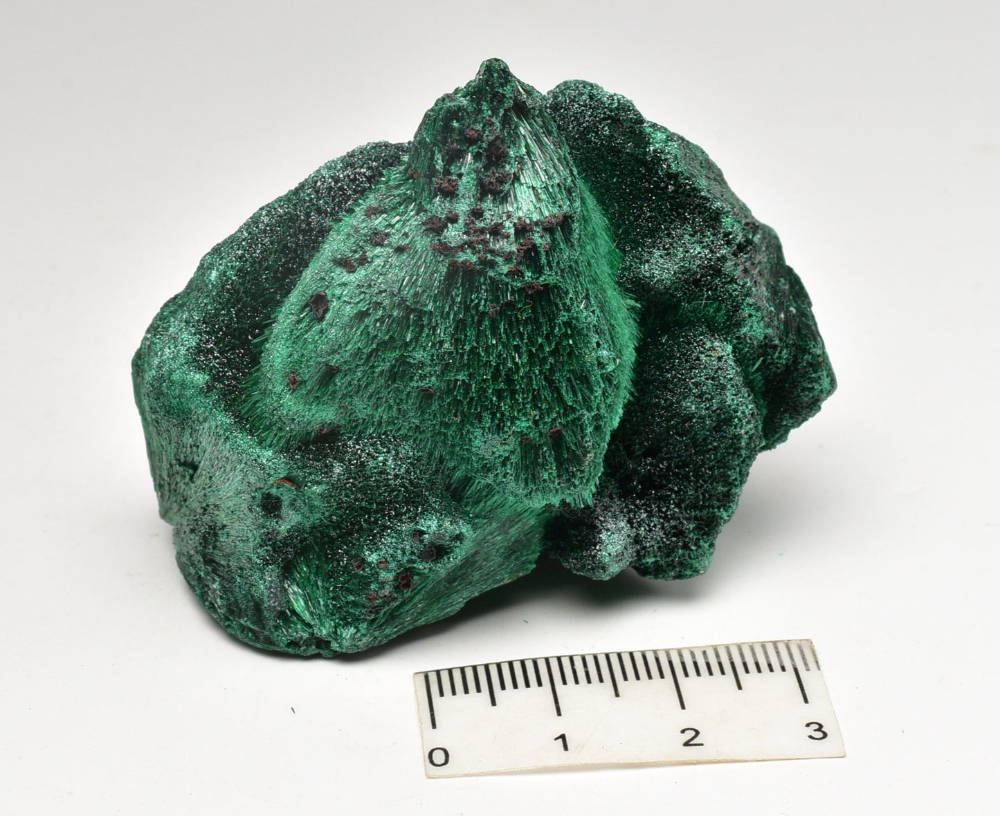 VELVET MALACHITE P293