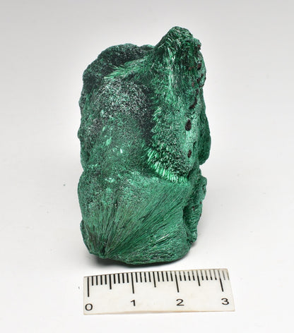 VELVET MALACHITE P293