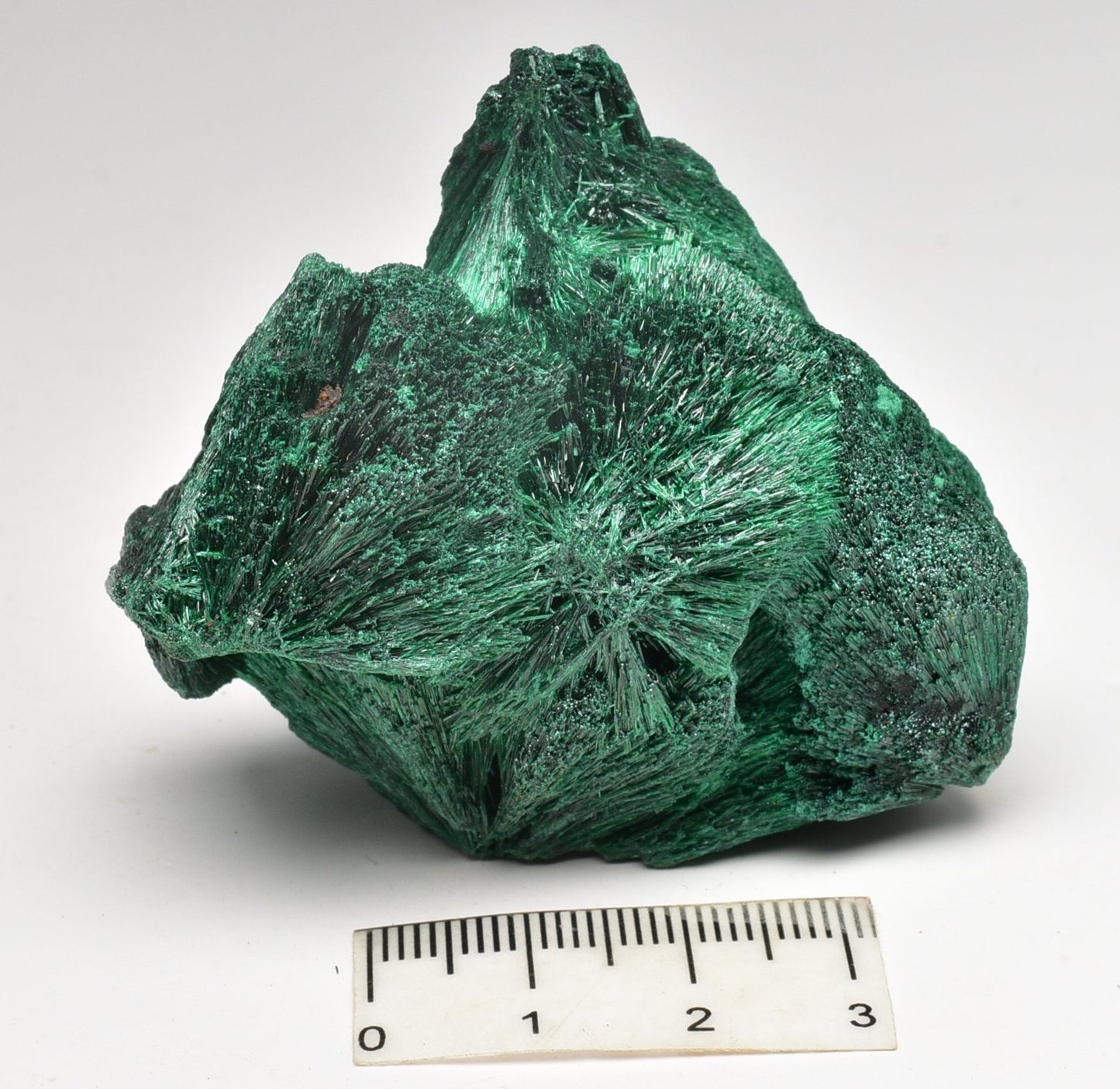 VELVET MALACHITE P293