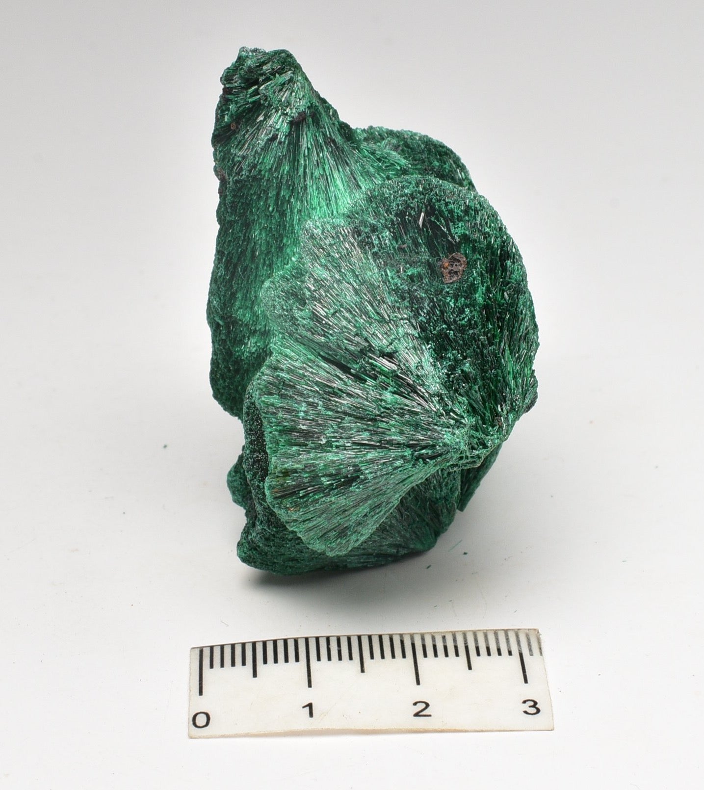 VELVET MALACHITE P293