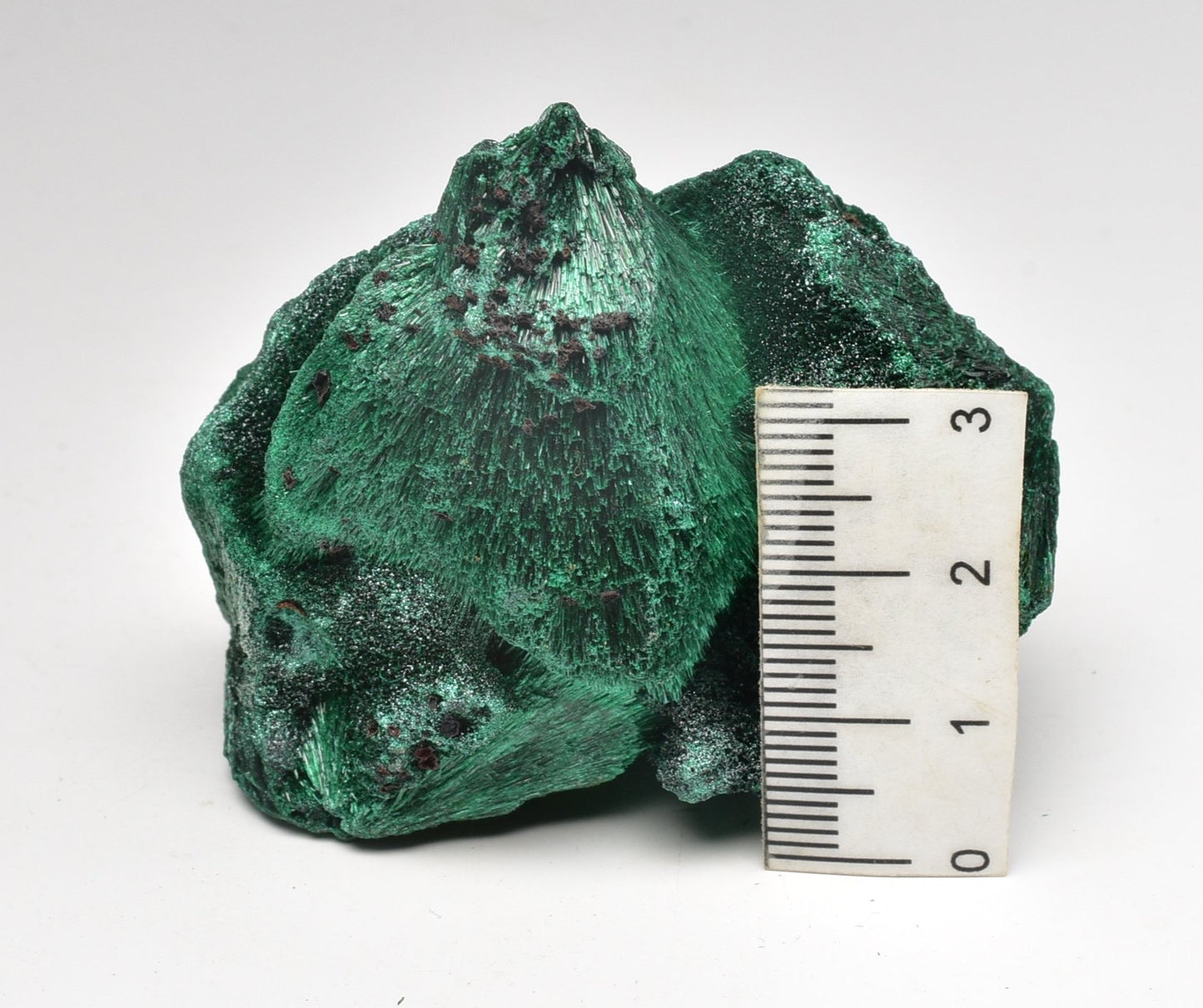 VELVET MALACHITE P293