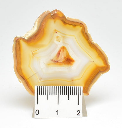 IRIS AGATE A01