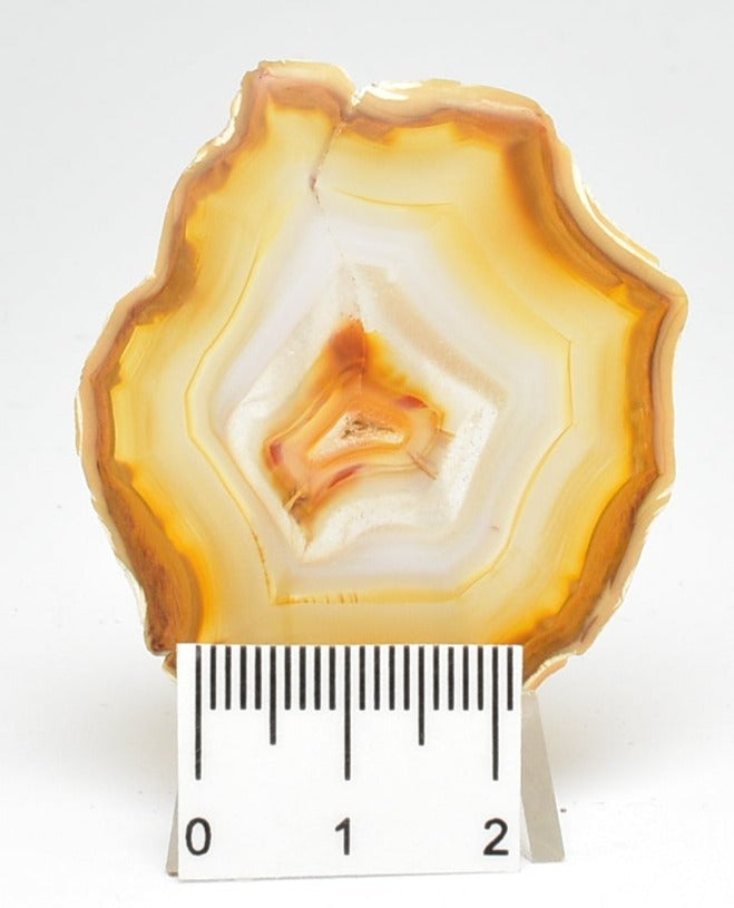 IRIS AGATE A02