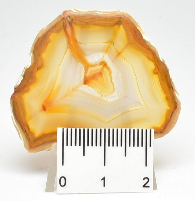 IRIS AGATE A04