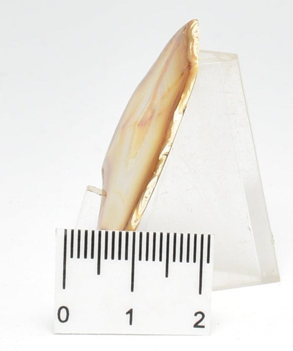 IRIS AGATE A04