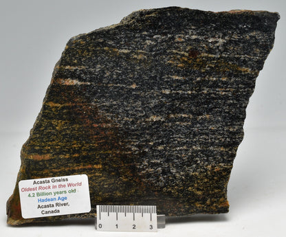 ACASTA GNEISS SLICE "OLDEST ROCK" CANADA S129