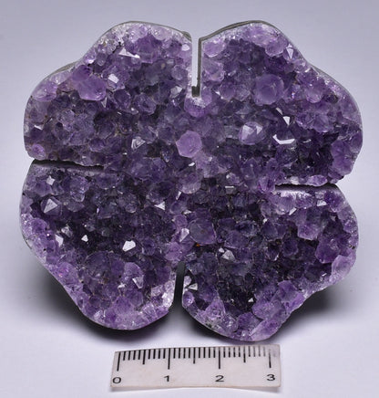 AMETHYST CLUSTER FOUR LEAF CLOVER P197