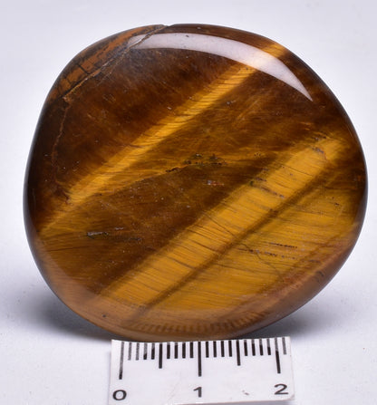 TIGER EYE POLISHED CRYSTAL PALM STONE P32